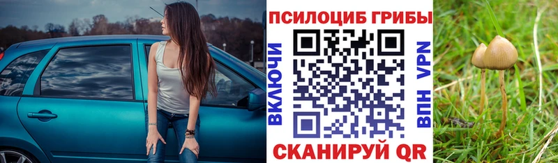 Псилоцибиновые грибы мицелий  Ессентуки 